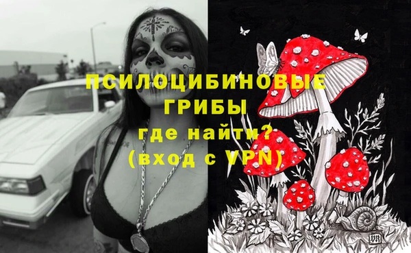 дурь Алексеевка