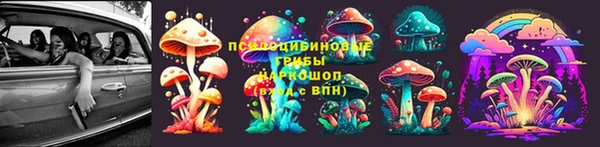 винт Алексин