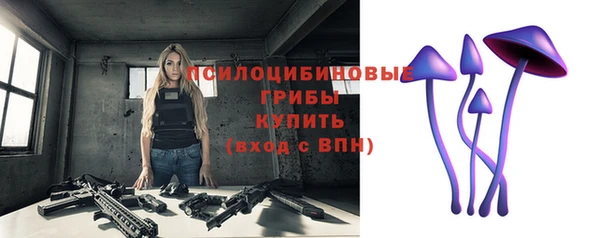 сатива Алзамай