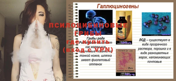 дурь Алексеевка