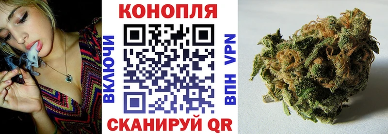 Бошки марихуана семена  Дно 